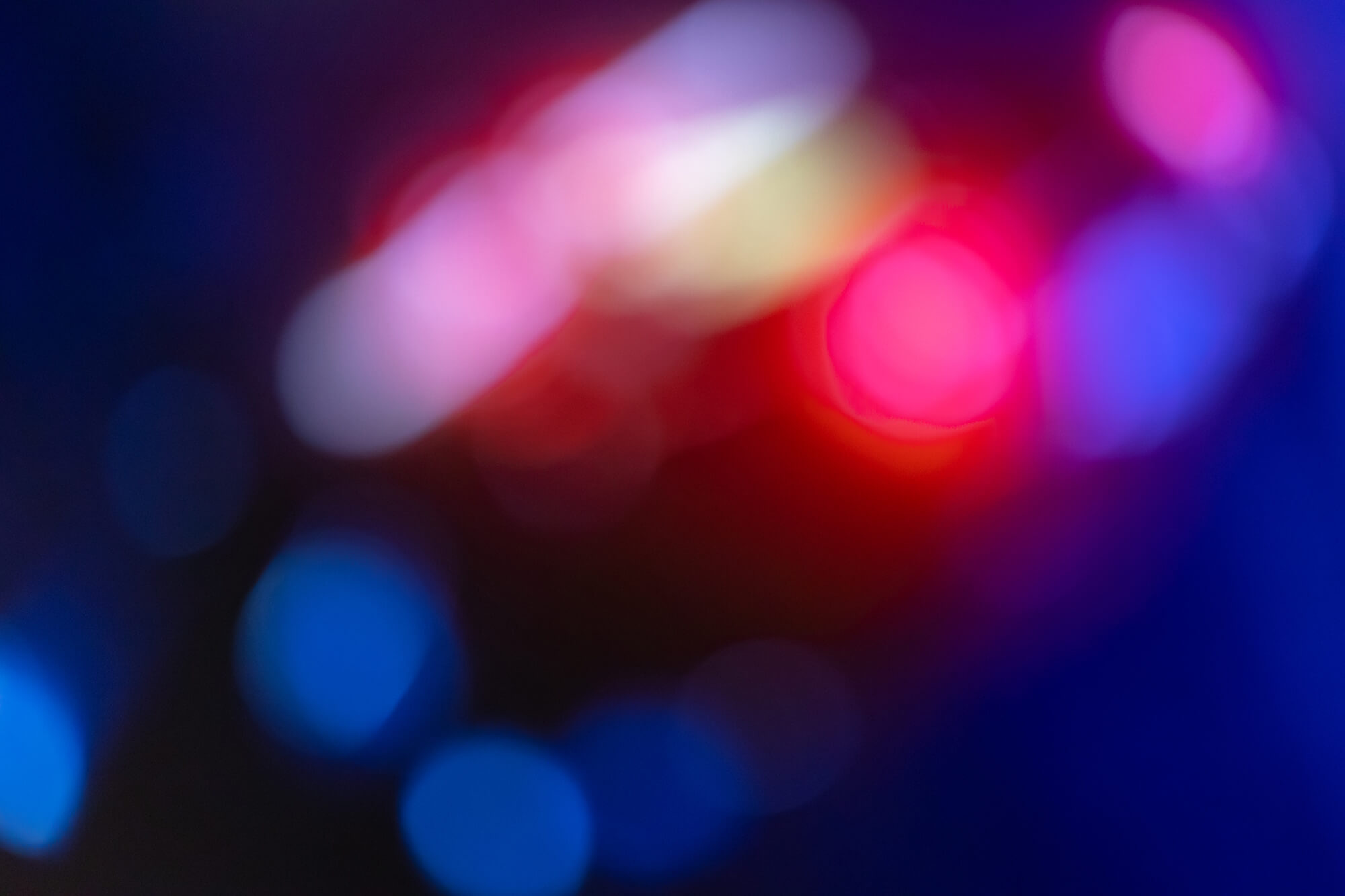 WordPress 100%GPL Block Theme Cormorant Sample Image 01